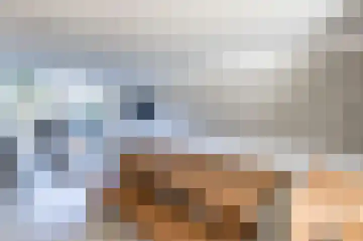 Kastelein 25 Wilnis thumbnail 11
