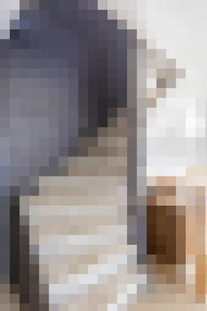 Kastelein 25 Wilnis thumbnail 16