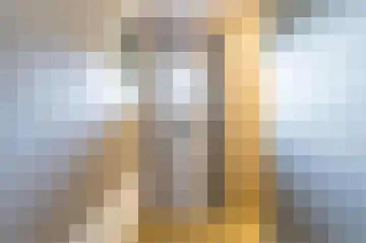 Kastelein 25 Wilnis thumbnail 18