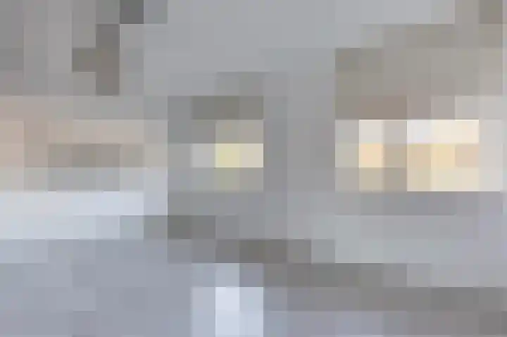 Kastelein 25 Wilnis thumbnail 21