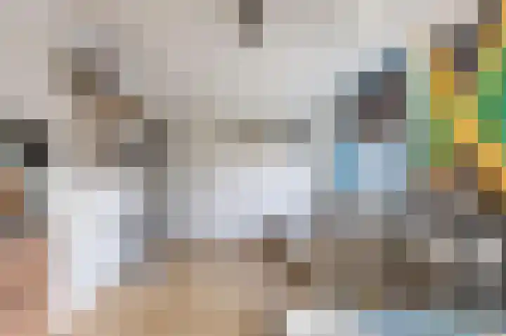 Kastelein 25 Wilnis thumbnail 25