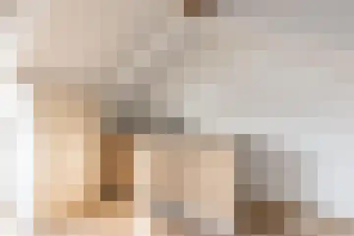 Kastelein 25 Wilnis thumbnail 29