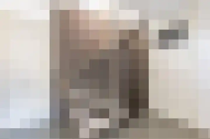 Kastelein 25 Wilnis thumbnail 30