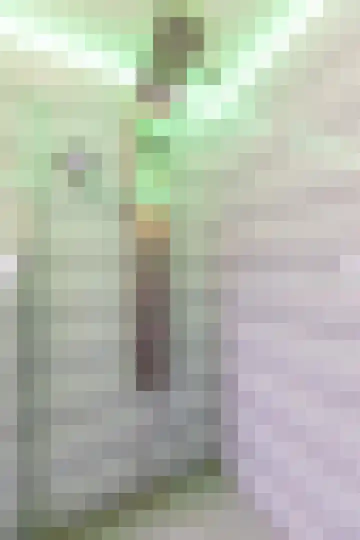 Kastelein 25 Wilnis thumbnail 32