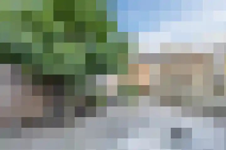 Kastelein 25 Wilnis thumbnail 35