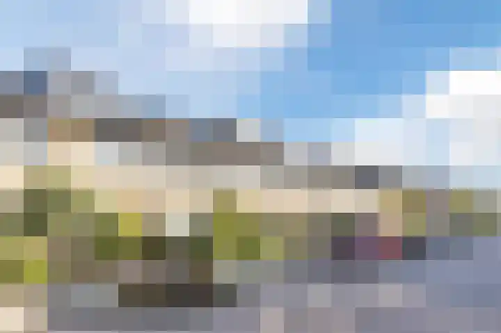 Kastelein 25 Wilnis thumbnail 37
