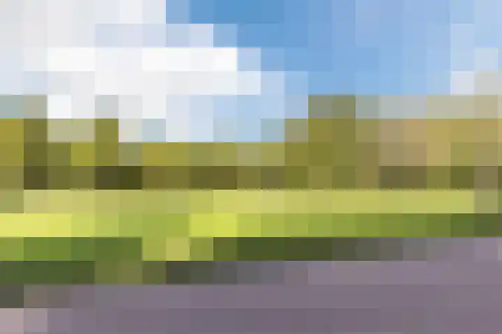 Kastelein 25 Wilnis thumbnail 38