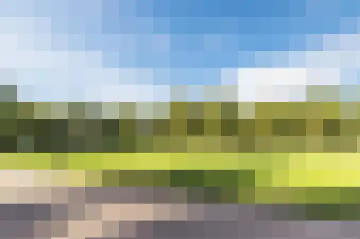 Kastelein 25 Wilnis thumbnail 39