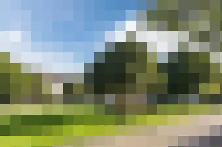 Kastelein 25 Wilnis thumbnail 40