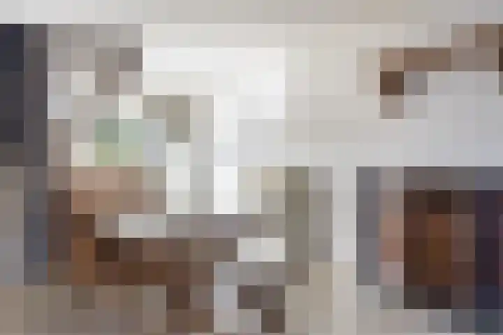 Kastelein 25 Wilnis thumbnail 8