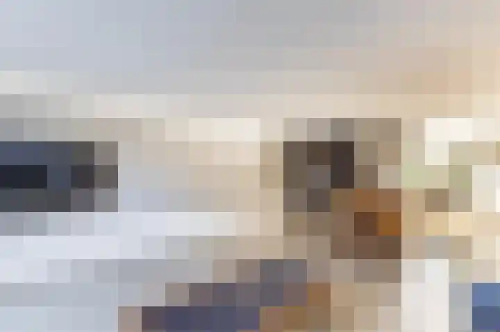 Kastelein 25 Wilnis thumbnail 9