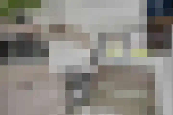Kasteleinstraat 26 Oss thumbnail 10