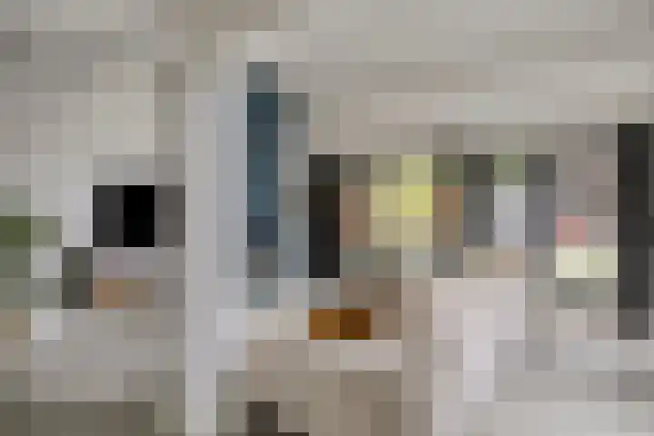 Kasteleinstraat 26 Oss thumbnail 13