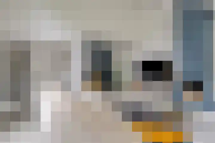 Kasteleinstraat 26 Oss thumbnail 15