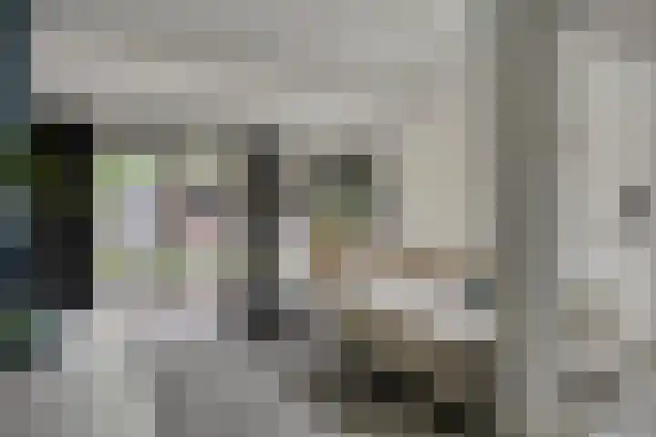 Kasteleinstraat 26 Oss thumbnail 17