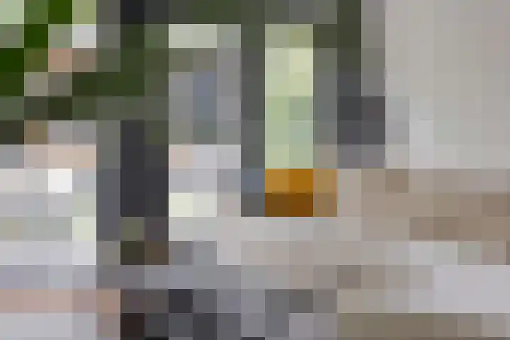 Kasteleinstraat 26 Oss thumbnail 18