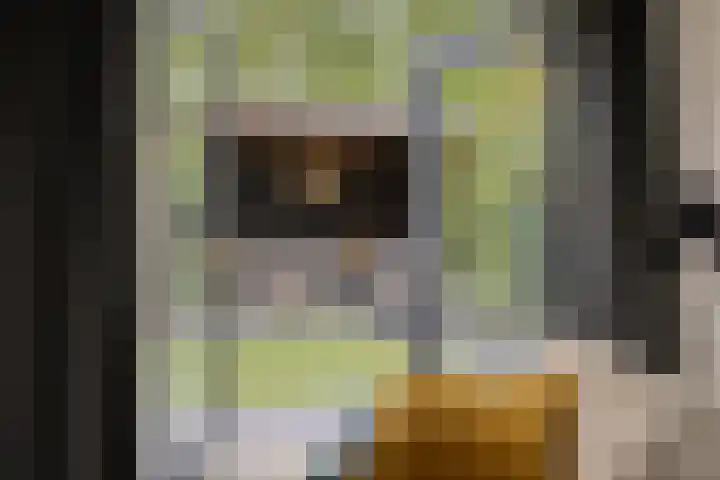 Kasteleinstraat 26 Oss thumbnail 19