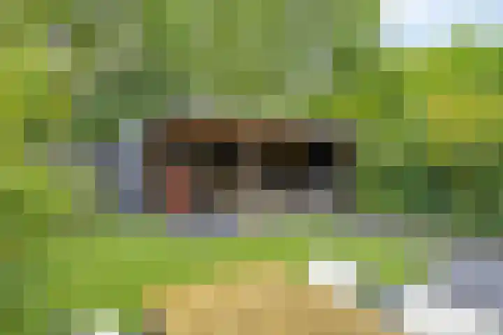 Kasteleinstraat 26 Oss thumbnail 20
