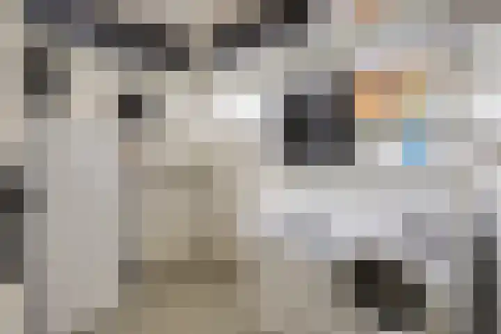 Kasteleinstraat 26 Oss thumbnail 27