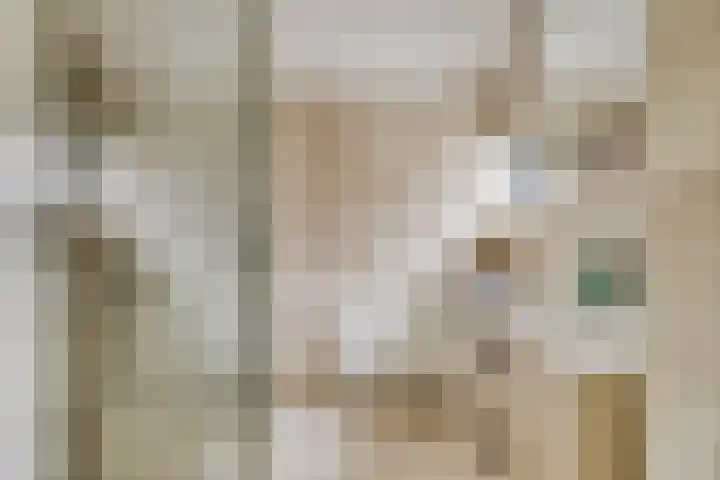 Kasteleinstraat 26 Oss thumbnail 33