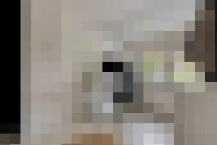 Kasteleinstraat 26 Oss thumbnail 35