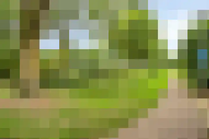 Kasteleinstraat 26 Oss thumbnail 38