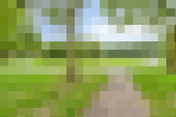 Kasteleinstraat 26 Oss thumbnail 39