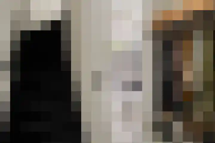 Kasteleinstraat 26 Oss thumbnail 7