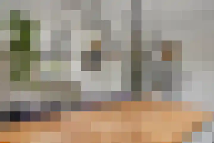 Kasteleinstraat 26 Oss thumbnail 9