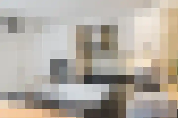 Kastelenakkers 12 Zuidlaren thumbnail 14