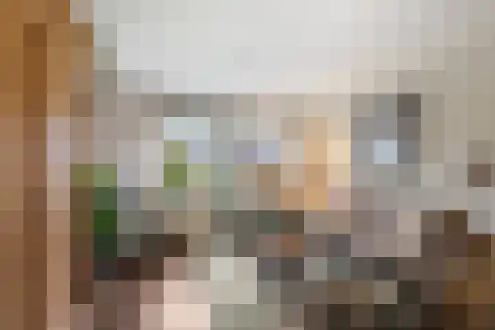 Kastelenakkers 12 Zuidlaren thumbnail 18