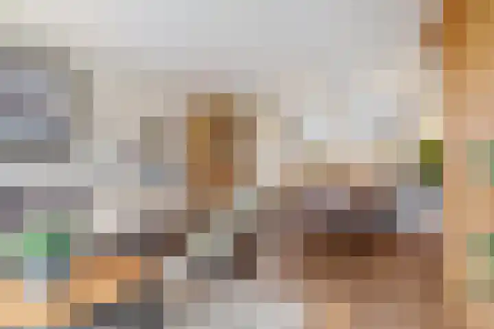 Kastelenakkers 12 Zuidlaren thumbnail 19