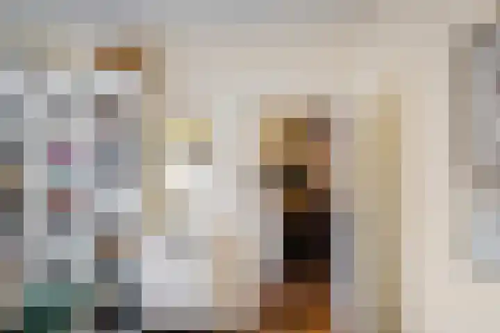 Kastelenakkers 12 Zuidlaren thumbnail 20