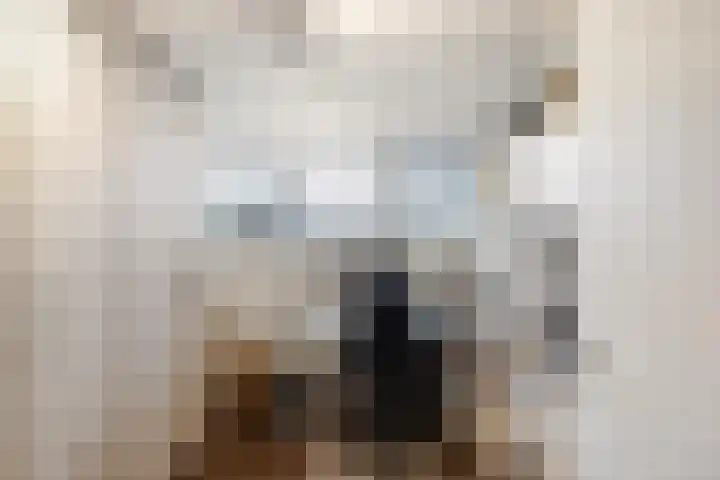 Kastelenakkers 12 Zuidlaren thumbnail 26