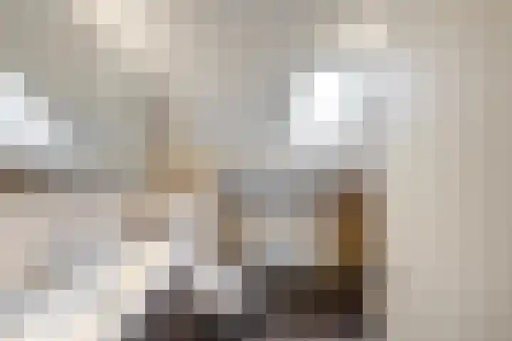 Kastelenakkers 12 Zuidlaren thumbnail 29