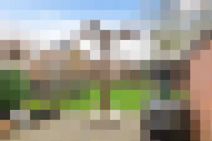 Kastelenakkers 12 Zuidlaren thumbnail 34