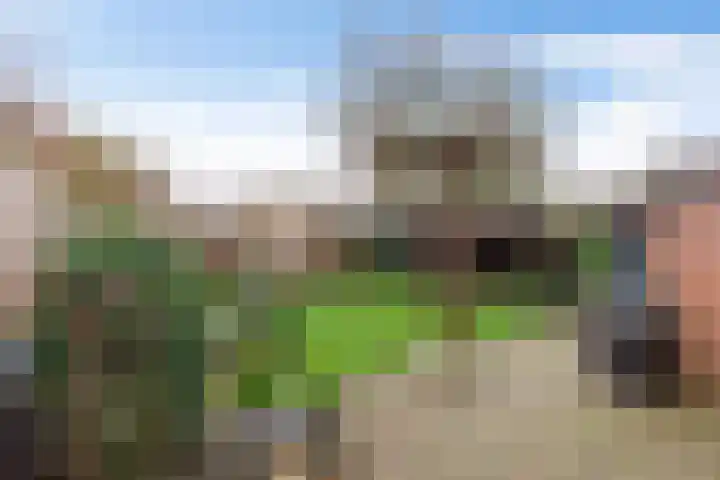Kastelenakkers 12 Zuidlaren thumbnail 35