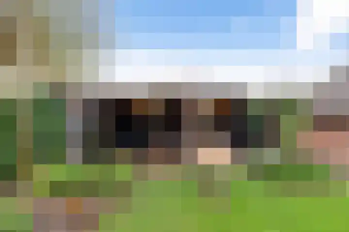 Kastelenakkers 12 Zuidlaren thumbnail 36