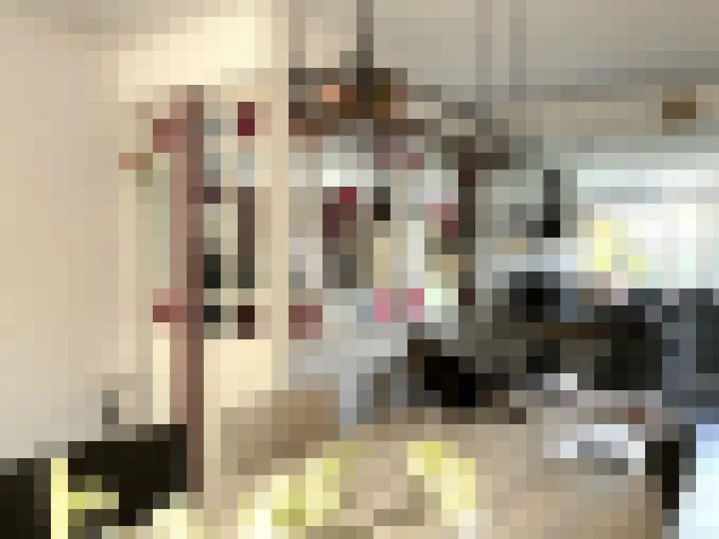 Kastelenakkers 16 Zuidlaren thumbnail 11