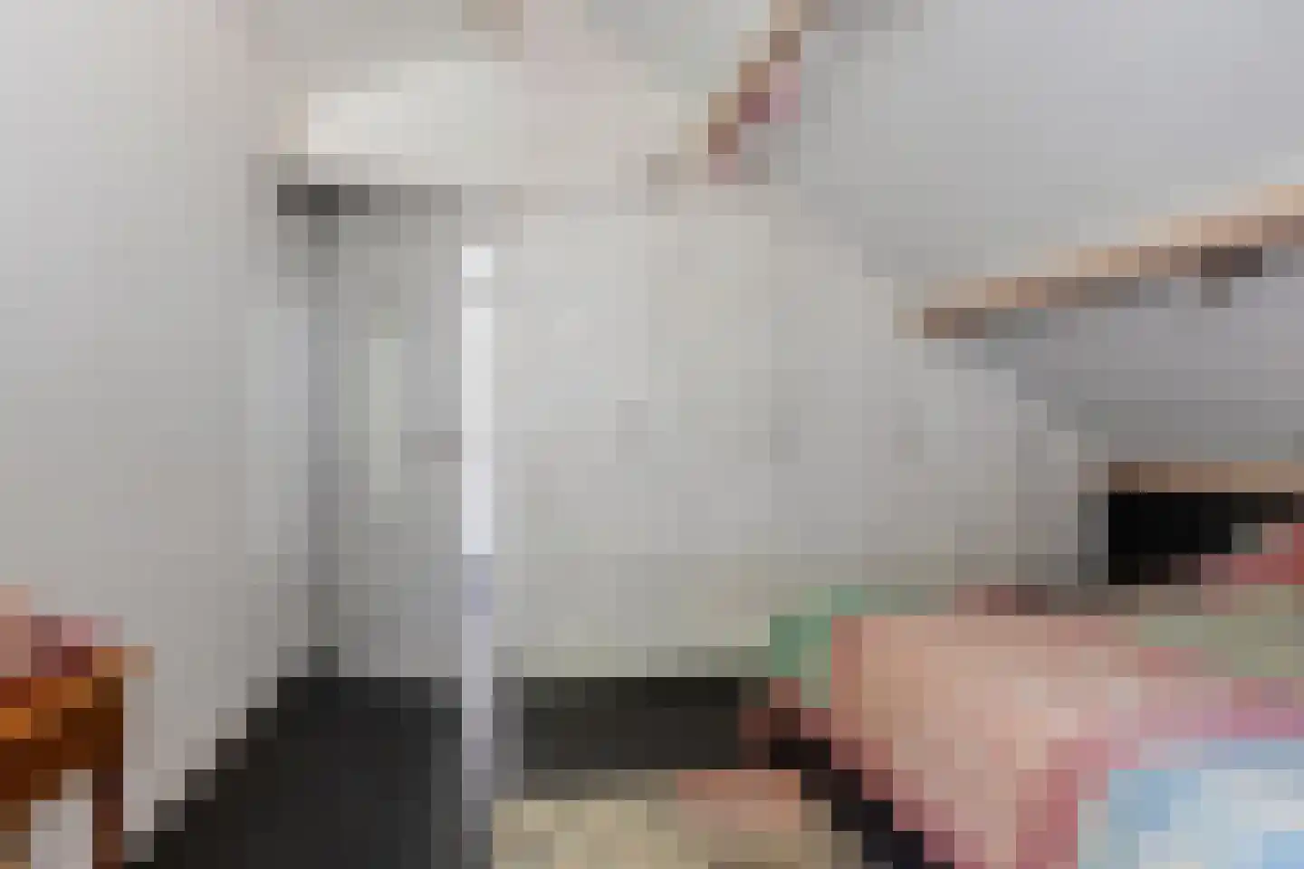 Kastelenakkers 16 Zuidlaren thumbnail 25