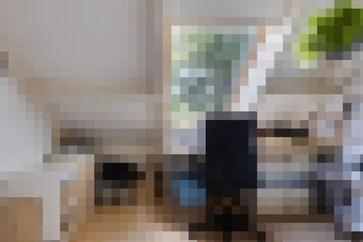 Kastelenakkers 16 Zuidlaren thumbnail 29