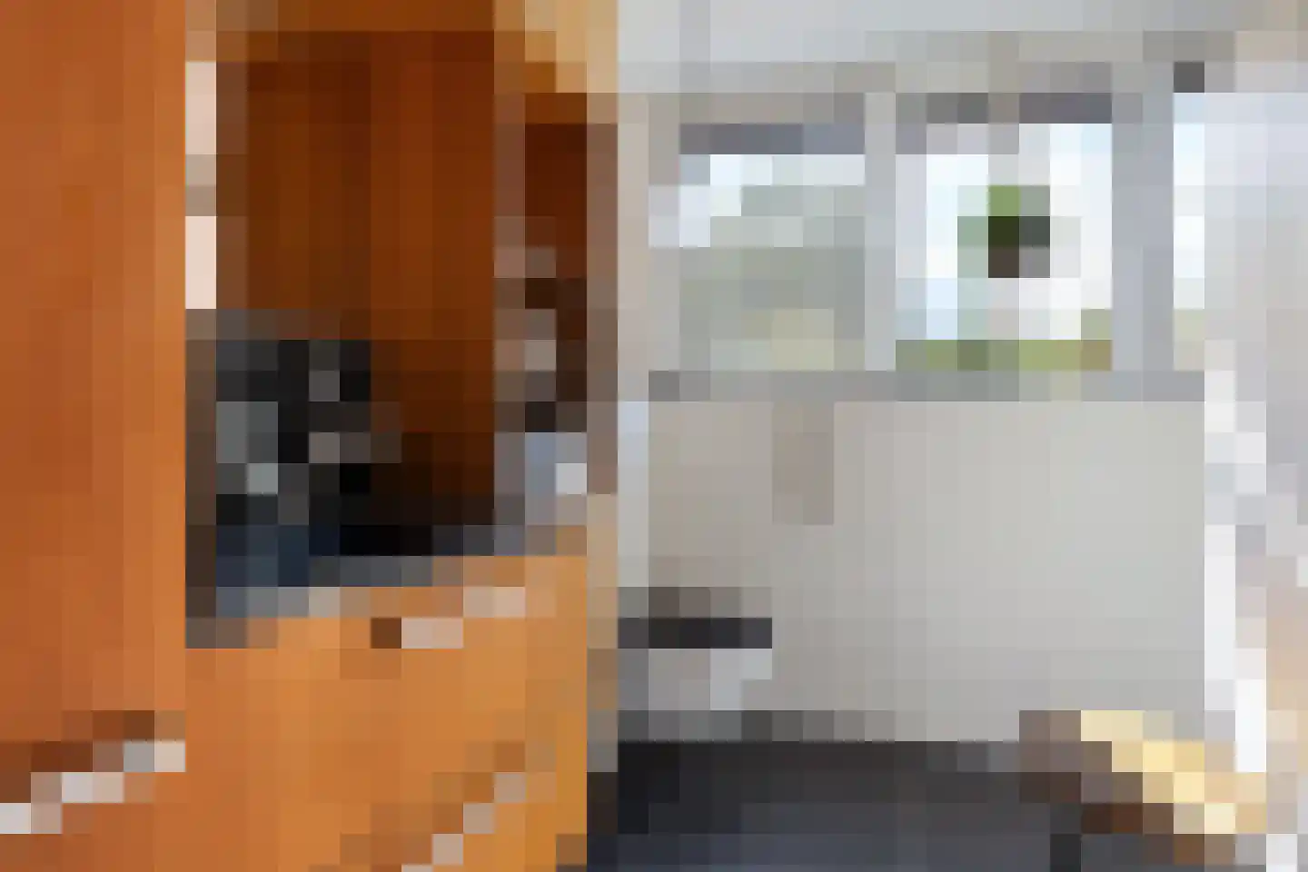 Kastelenakkers 16 Zuidlaren thumbnail 30