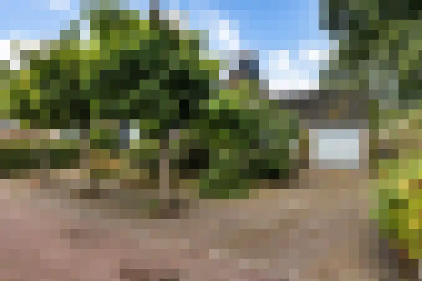Kastelenakkers 16 Zuidlaren thumbnail 33