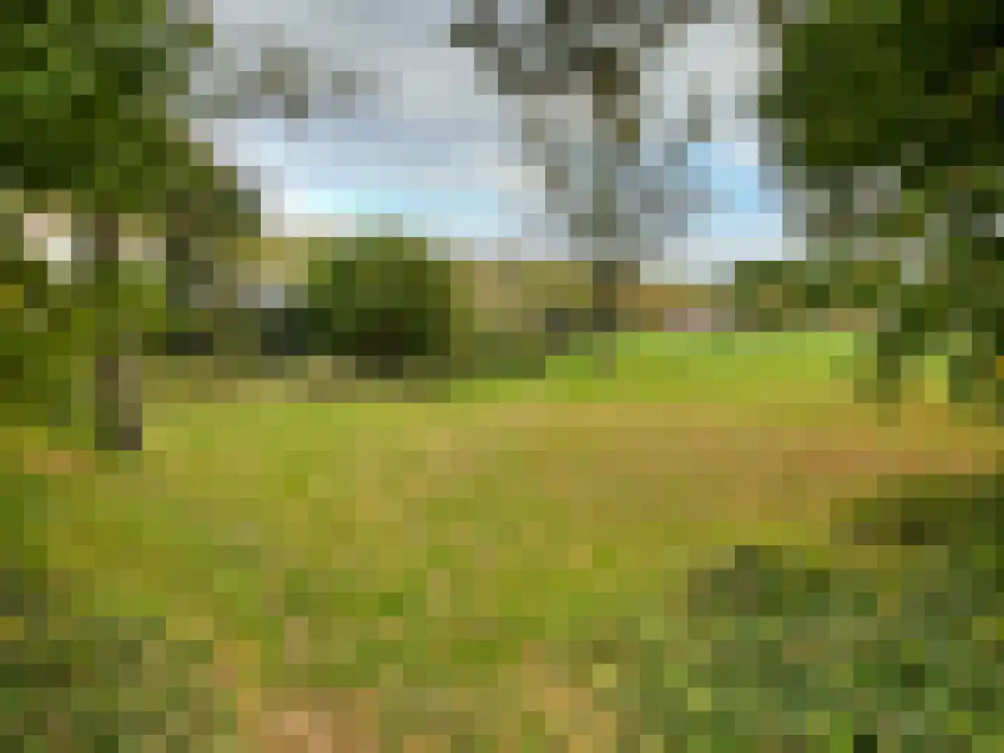 Kastelenakkers 16 Zuidlaren thumbnail 40