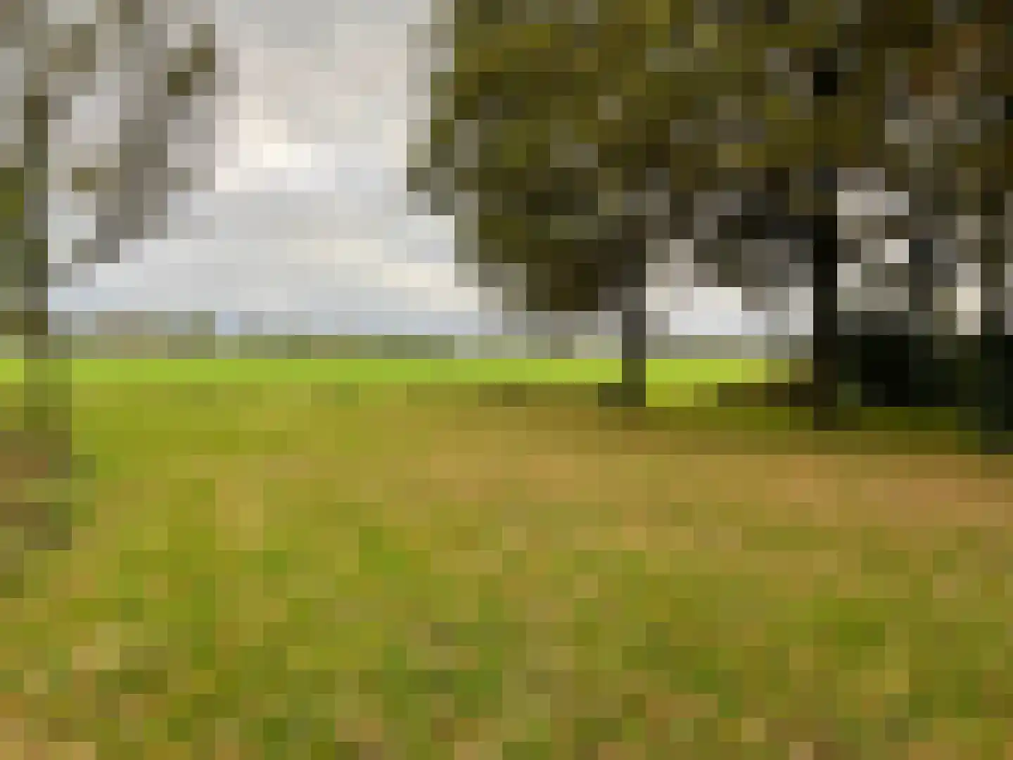 Kastelenakkers 16 Zuidlaren thumbnail 41