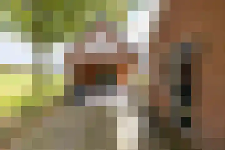 Kastelenakkers 22 Zuidlaren thumbnail 41