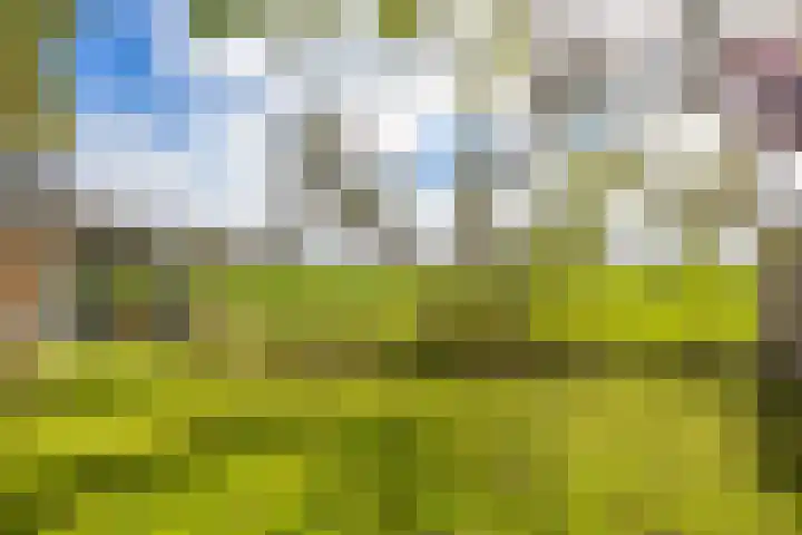 Kastelenakkers 22 Zuidlaren thumbnail 43