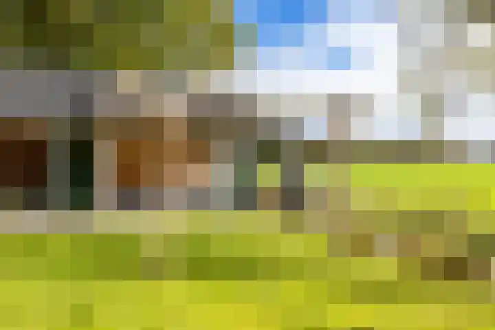 Kastelenakkers 22 Zuidlaren thumbnail 44
