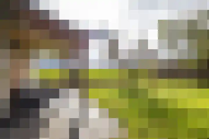 Kastelenakkers 22 Zuidlaren thumbnail 45