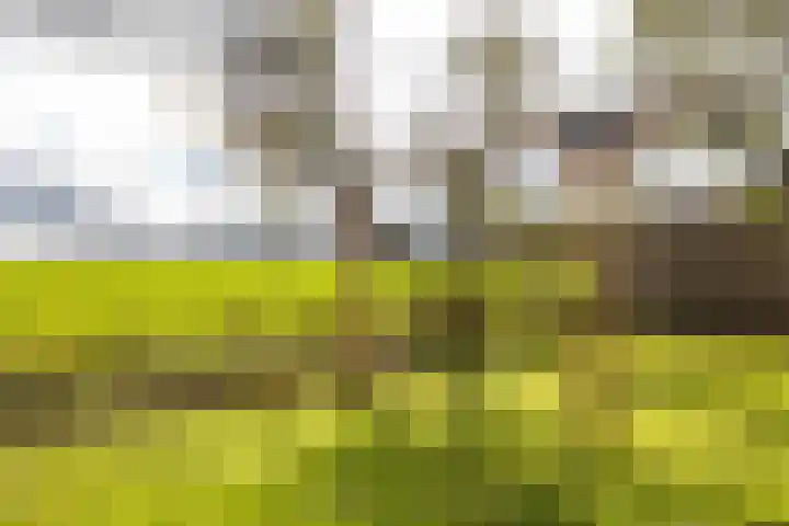 Kastelenakkers 22 Zuidlaren thumbnail 46